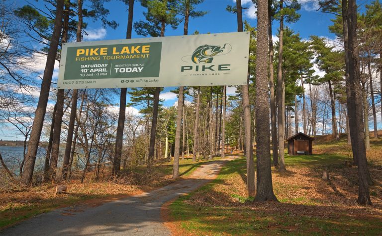 Outdoor Banner copy 768x476