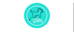 1000022906 2 300x133