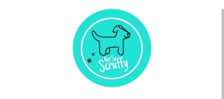 1000022906 2 768x341