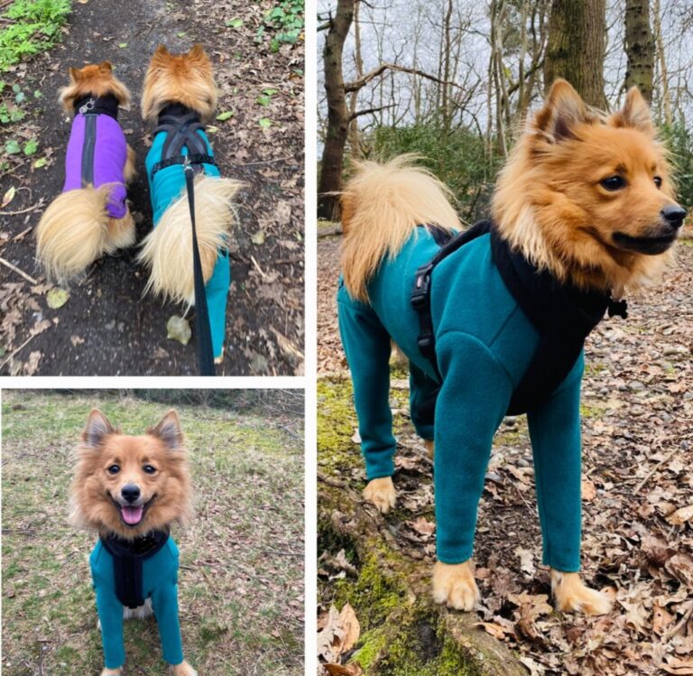 1000023183 2 768x749